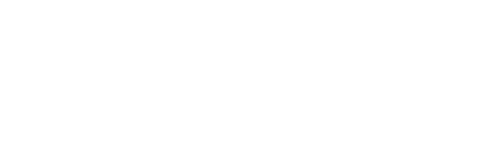 Lupa X Capital