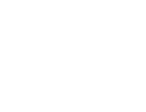 Twin Apex Capital